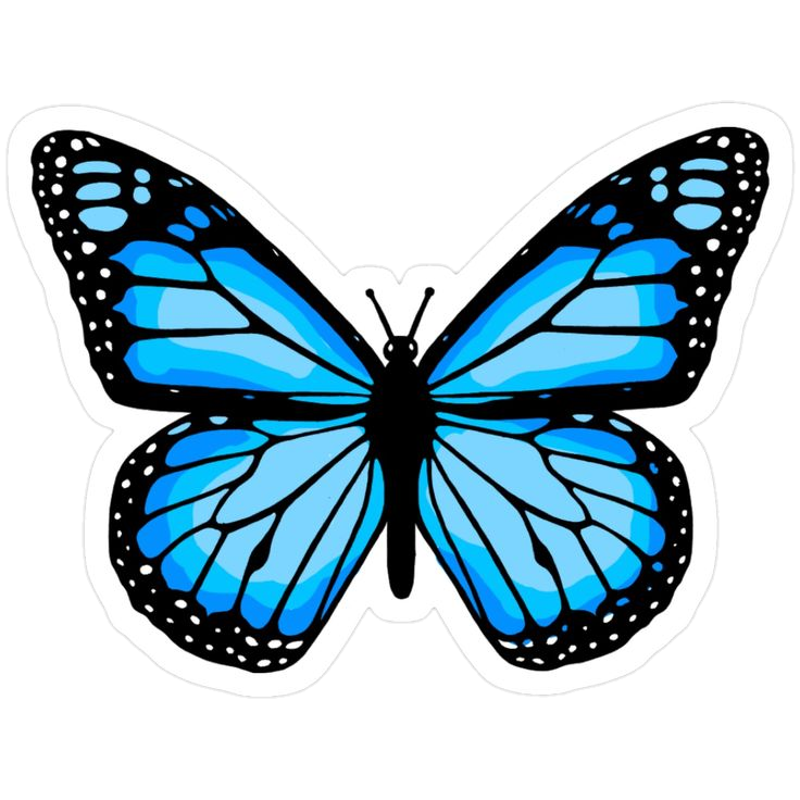 Shape stickers H55
