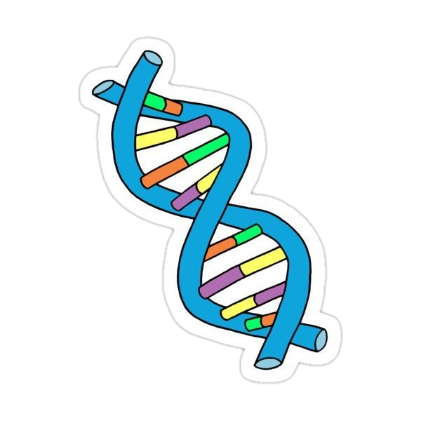 Majors stickers E61