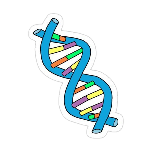 Majors stickers E61